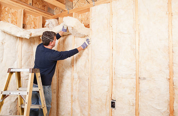 Professional Insulation Services in Breckenridge, MI